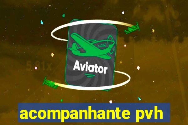 acompanhante pvh